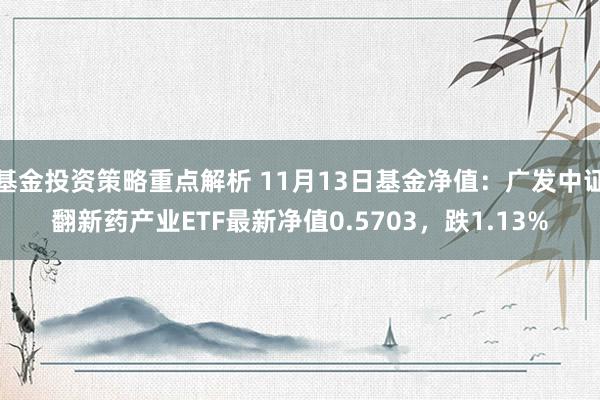 基金投资策略重点解析 11月13日基金净值：广发中证翻新药产业ETF最新净值0.5703，跌1.13%