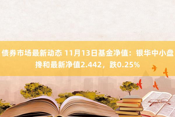 债券市场最新动态 11月13日基金净值：银华中小盘搀和最新净值2.442，跌0.25%