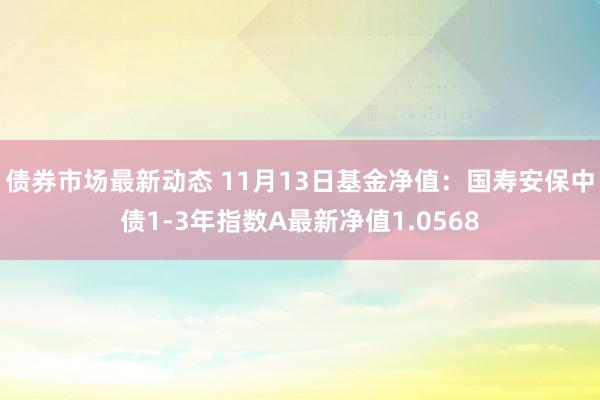 债券市场最新动态 11月13日基金净值：国寿安保中债1-3年指数A最新净值1.0568