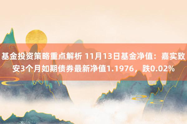 基金投资策略重点解析 11月13日基金净值：嘉实致安3个月如期债券最新净值1.1976，跌0.02%