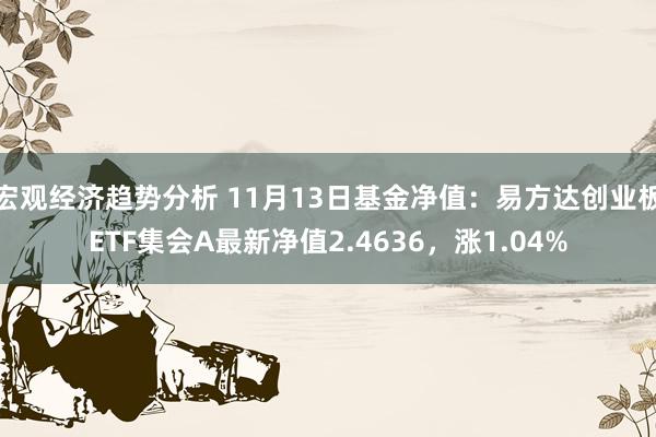 宏观经济趋势分析 11月13日基金净值：易方达创业板ETF集会A最新净值2.4636，涨1.04%