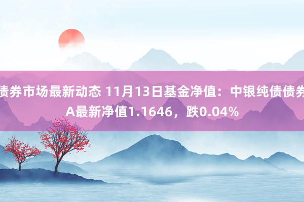 债券市场最新动态 11月13日基金净值：中银纯债债券A最新净值1.1646，跌0.04%