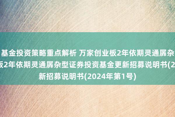 基金投资策略重点解析 万家创业板2年依期灵通羼杂C: 万家创业板2年依期灵通羼杂型证券投资基金更新招募说明书(2024年第1号)