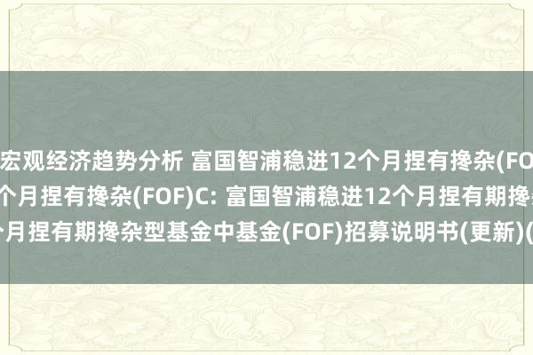 宏观经济趋势分析 富国智浦稳进12个月捏有搀杂(FOF)A,富国智浦稳进12个月捏有搀杂(FOF)C: 富国智浦稳进12个月捏有期搀杂型基金中基金(FOF)招募说明书(更新)(二0二四年第一号)