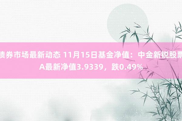 债券市场最新动态 11月15日基金净值：中金新锐股票A最新净值3.9339，跌0.49%