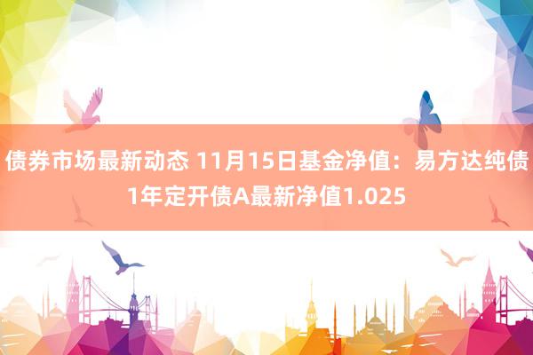 债券市场最新动态 11月15日基金净值：易方达纯债1年定开债A最新净值1.025