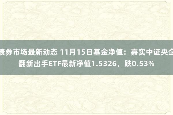 债券市场最新动态 11月15日基金净值：嘉实中证央企翻新出手ETF最新净值1.5326，跌0.53%