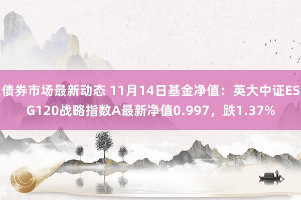 债券市场最新动态 11月14日基金净值：英大中证ESG120战略指数A最新净值0.997，跌1.37%