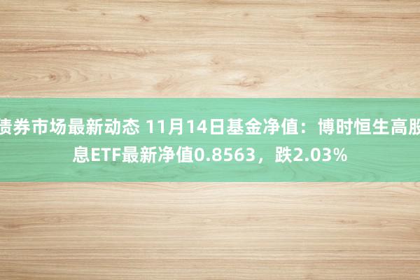 债券市场最新动态 11月14日基金净值：博时恒生高股息ETF最新净值0.8563，跌2.03%