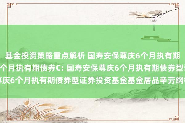 基金投资策略重点解析 国寿安保尊庆6个月执有期债券A,国寿安保尊庆6个月执有期债券C: 国寿安保尊庆6个月执有期债券型证券投资基金基金居品辛劳纲领更新