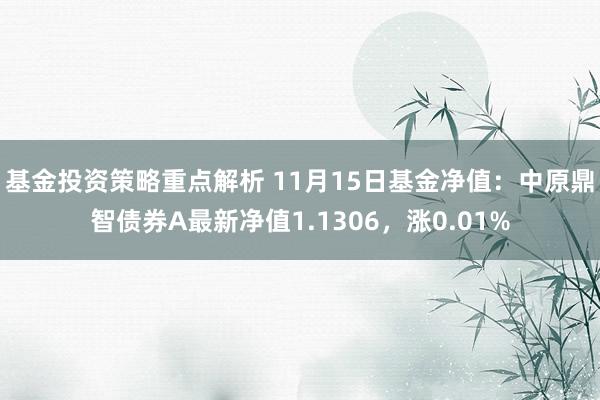 基金投资策略重点解析 11月15日基金净值：中原鼎智债券A最新净值1.1306，涨0.01%