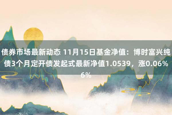 债券市场最新动态 11月15日基金净值：博时富兴纯债3个月定开债发起式最新净值1.0539，涨0.06%