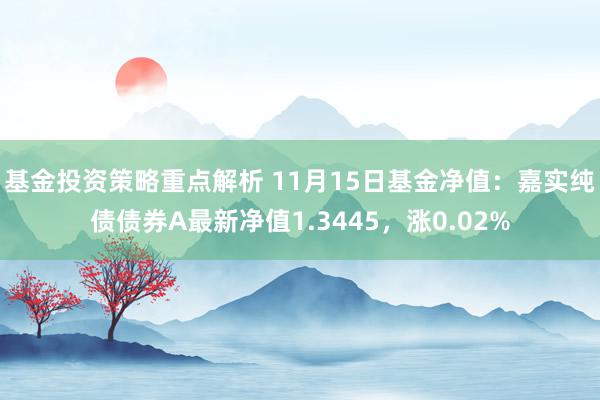 基金投资策略重点解析 11月15日基金净值：嘉实纯债债券A最新净值1.3445，涨0.02%