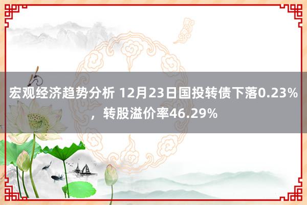 宏观经济趋势分析 12月23日国投转债下落0.23%，转股溢价率46.29%