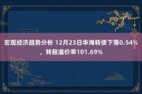 宏观经济趋势分析 12月23日华海转债下落0.54%，转股溢价率101.69%