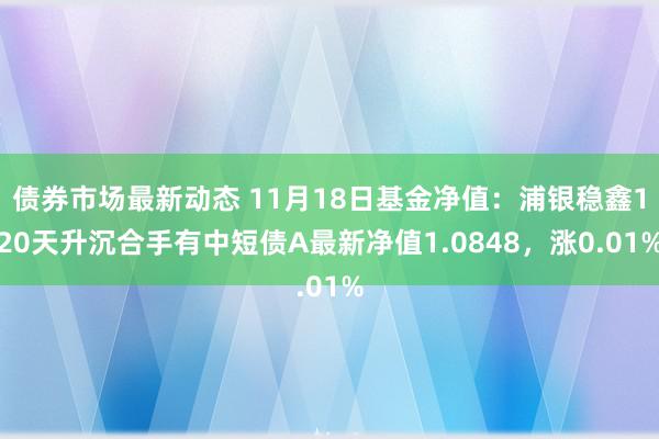 债券市场最新动态 11月18日基金净值：浦银稳鑫120天升沉合手有中短债A最新净值1.0848，涨0.01%