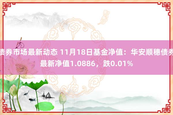 债券市场最新动态 11月18日基金净值：华安顺穗债券最新净值1.0886，跌0.01%