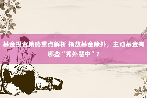 基金投资策略重点解析 指数基金除外，主动基金有哪些“秀外慧中”？