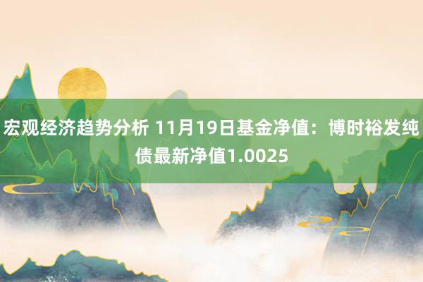 宏观经济趋势分析 11月19日基金净值：博时裕发纯债最新净值1.0025