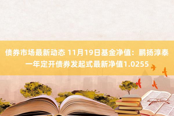 债券市场最新动态 11月19日基金净值：鹏扬淳泰一年定开债券发起式最新净值1.0255