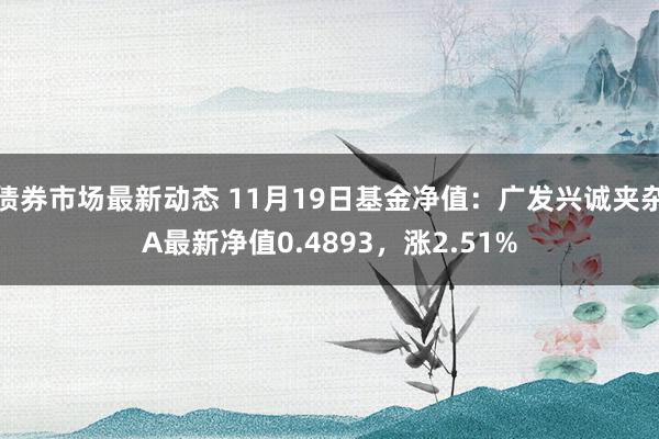 债券市场最新动态 11月19日基金净值：广发兴诚夹杂A最新净值0.4893，涨2.51%