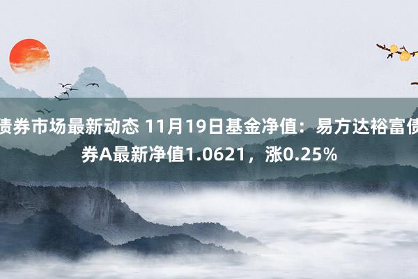 债券市场最新动态 11月19日基金净值：易方达裕富债券A最新净值1.0621，涨0.25%