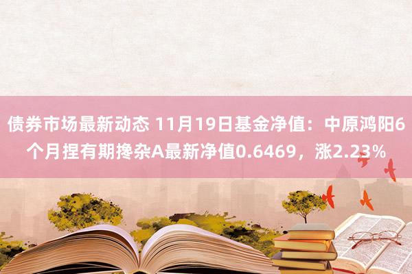 债券市场最新动态 11月19日基金净值：中原鸿阳6个月捏有期搀杂A最新净值0.6469，涨2.23%