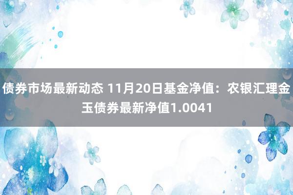 债券市场最新动态 11月20日基金净值：农银汇理金玉债券最新净值1.0041