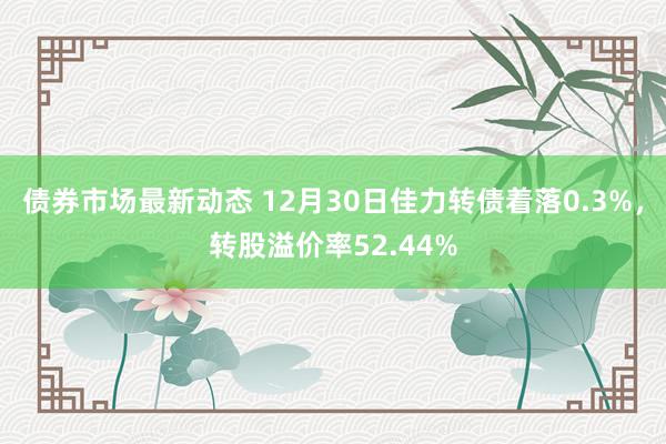 债券市场最新动态 12月30日佳力转债着落0.3%，转股溢价率52.44%