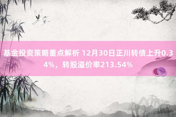 基金投资策略重点解析 12月30日正川转债上升0.34%，转股溢价率213.54%