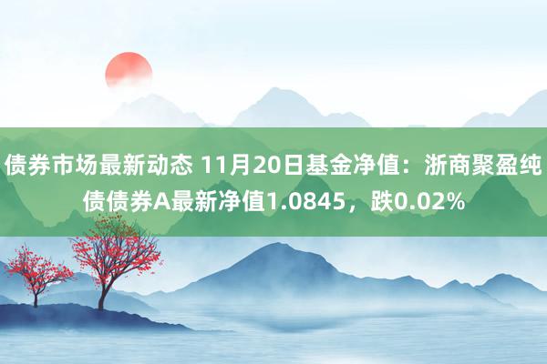 债券市场最新动态 11月20日基金净值：浙商聚盈纯债债券A最新净值1.0845，跌0.02%