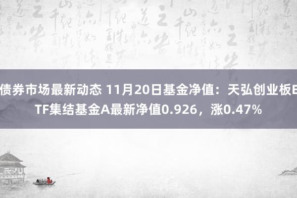 债券市场最新动态 11月20日基金净值：天弘创业板ETF集结基金A最新净值0.926，涨0.47%