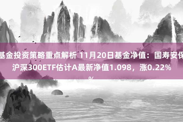 基金投资策略重点解析 11月20日基金净值：国寿安保沪深300ETF估计A最新净值1.098，涨0.22%