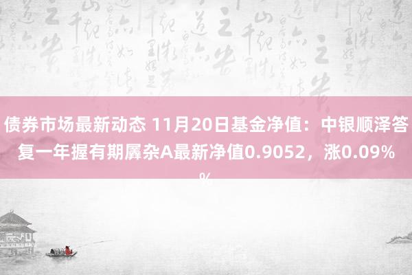 债券市场最新动态 11月20日基金净值：中银顺泽答复一年握有期羼杂A最新净值0.9052，涨0.09%