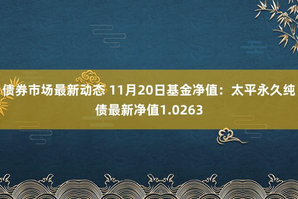 债券市场最新动态 11月20日基金净值：太平永久纯债最新净值1.0263