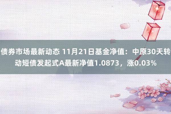 债券市场最新动态 11月21日基金净值：中原30天转动短债发起式A最新净值1.0873，涨0.03%