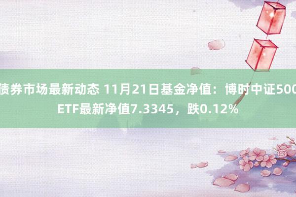 债券市场最新动态 11月21日基金净值：博时中证500ETF最新净值7.3345，跌0.12%