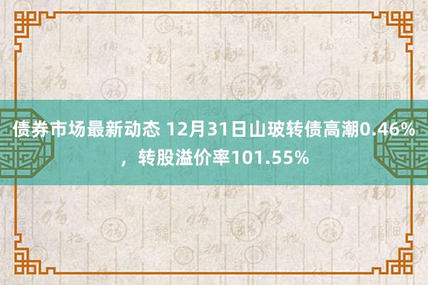 债券市场最新动态 12月31日山玻转债高潮0.46%，转股溢价率101.55%