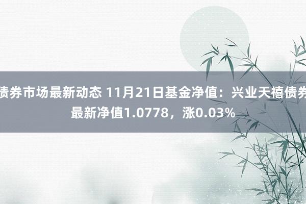 债券市场最新动态 11月21日基金净值：兴业天禧债券最新净值1.0778，涨0.03%