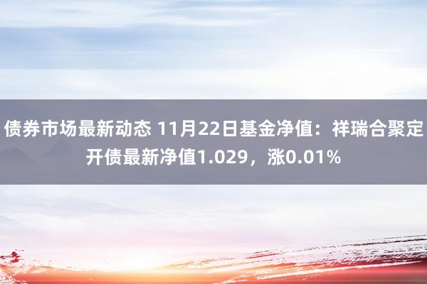 债券市场最新动态 11月22日基金净值：祥瑞合聚定开债最新净值1.029，涨0.01%