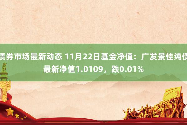 债券市场最新动态 11月22日基金净值：广发景佳纯债最新净值1.0109，跌0.01%