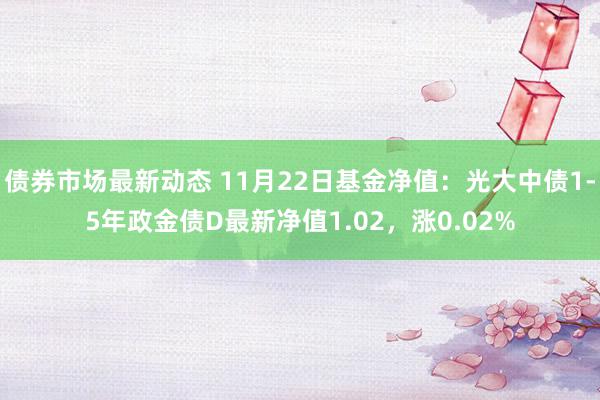 债券市场最新动态 11月22日基金净值：光大中债1-5年政金债D最新净值1.02，涨0.02%