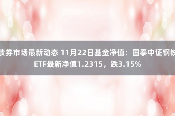 债券市场最新动态 11月22日基金净值：国泰中证钢铁ETF最新净值1.2315，跌3.15%