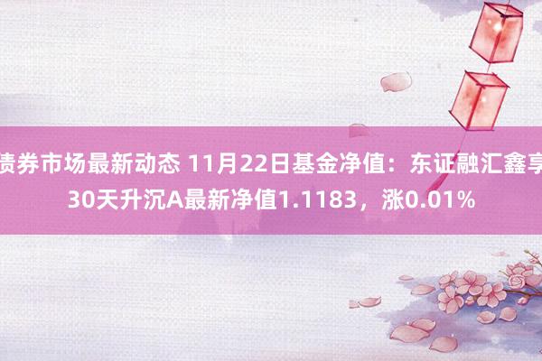 债券市场最新动态 11月22日基金净值：东证融汇鑫享30天升沉A最新净值1.1183，涨0.01%