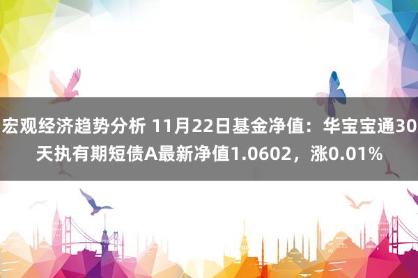 宏观经济趋势分析 11月22日基金净值：华宝宝通30天执有期短债A最新净值1.0602，涨0.01%