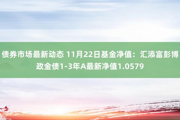 债券市场最新动态 11月22日基金净值：汇添富彭博政金债1-3年A最新净值1.0579