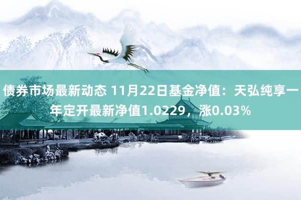 债券市场最新动态 11月22日基金净值：天弘纯享一年定开最新净值1.0229，涨0.03%