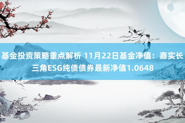 基金投资策略重点解析 11月22日基金净值：嘉实长三角ESG纯债债券最新净值1.0648