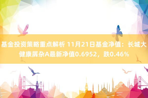 基金投资策略重点解析 11月21日基金净值：长城大健康羼杂A最新净值0.6952，跌0.46%