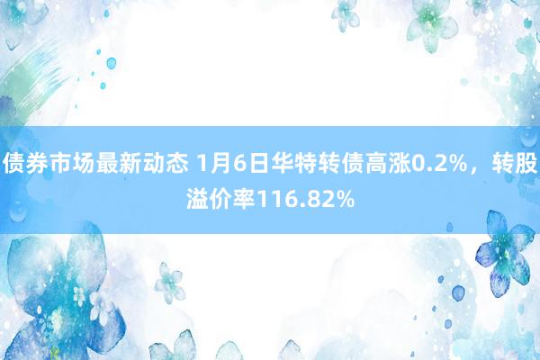 债券市场最新动态 1月6日华特转债高涨0.2%，转股溢价率116.82%